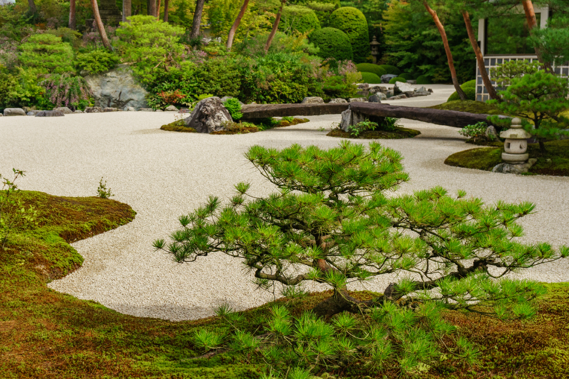 苔庭の魅力