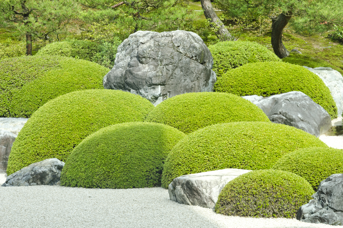 足立美術館の石庭と苔庭の独自性